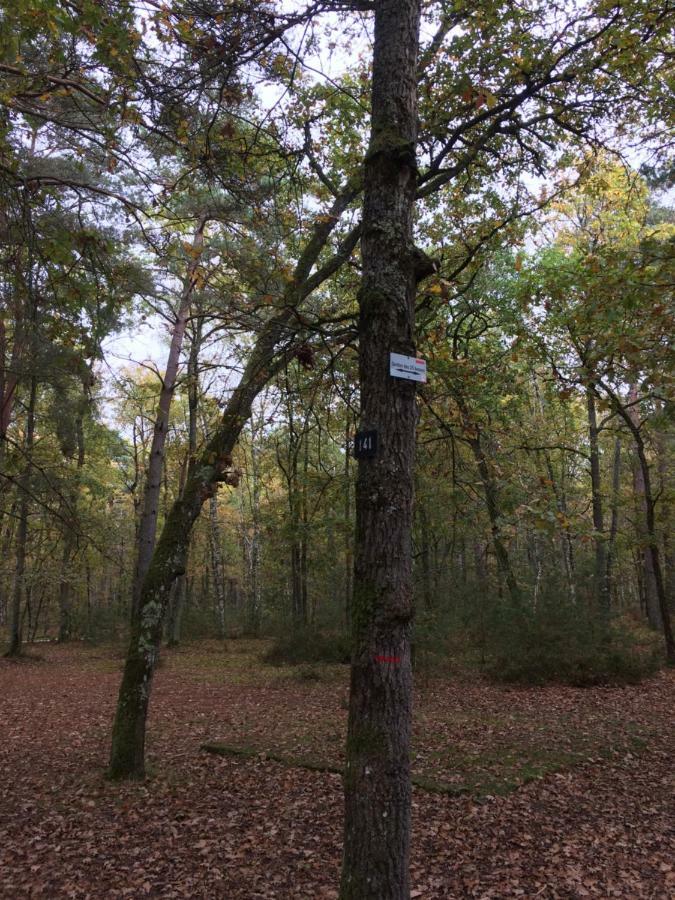 Gite Cosy Proche Fontainebleau Et Foret Noisy-sur-Ecole Eksteriør billede